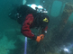 Het monitoren van flora en fauna door duikers bij de Doggersbank
