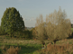 Natuurontwikkelingsgebied in Zuid-Limburg